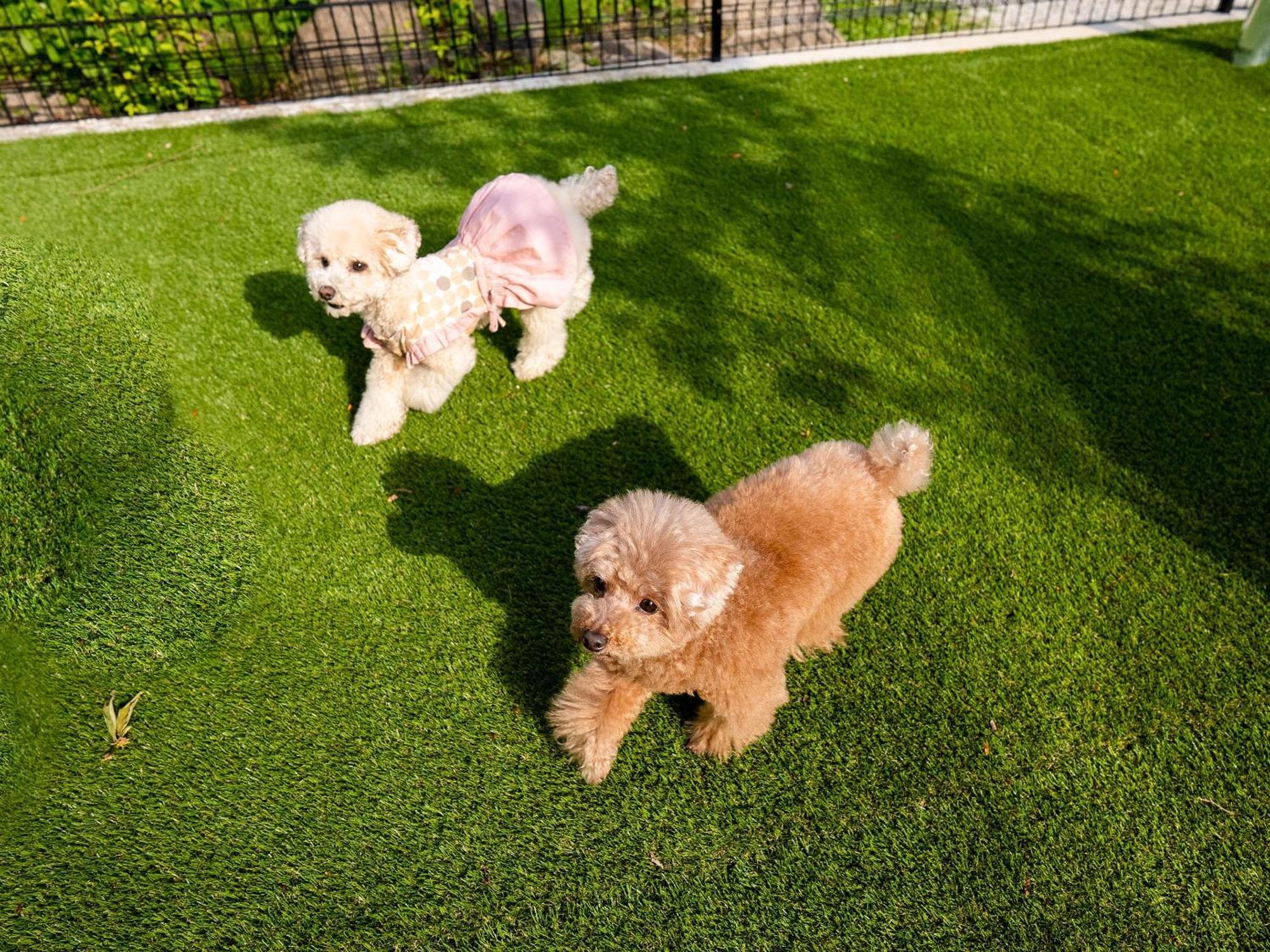 Rakuten Stay Villa Yatsugatake โฮคุโตะ ภายนอก รูปภาพ