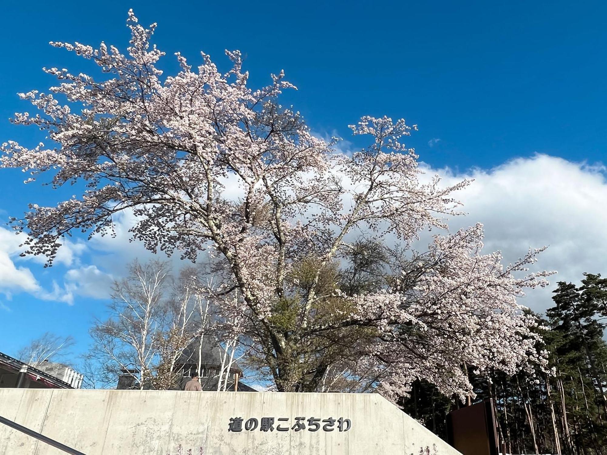Rakuten Stay Villa Yatsugatake โฮคุโตะ ภายนอก รูปภาพ