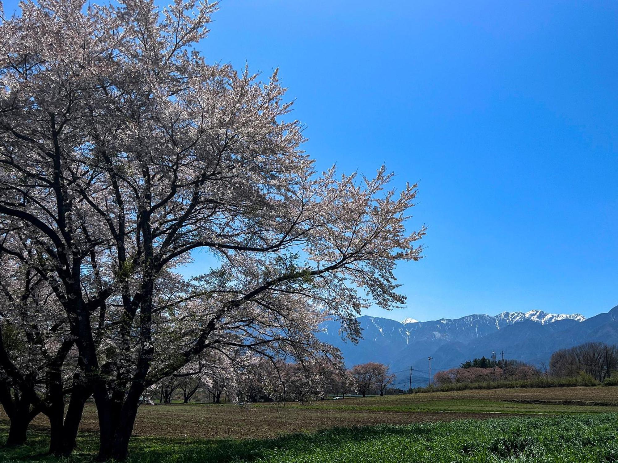 Rakuten Stay Villa Yatsugatake โฮคุโตะ ภายนอก รูปภาพ