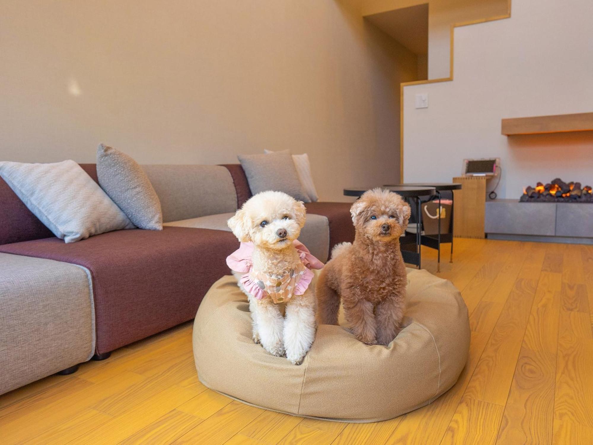 Rakuten Stay Villa Yatsugatake โฮคุโตะ ภายนอก รูปภาพ